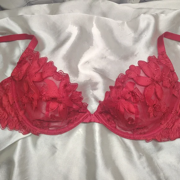 NWOT Victoria's Secret Red Floral Lace Bra - Picture 1 of 4